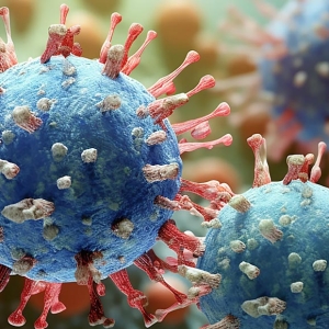 Herpes Labialis